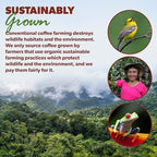 Low Acid Organic Coffee – Whole Bean, Mold-Free & Stomach Friendly by Java Planet, Papua New Guinea Single Origin Coffee, Dark Roast, Smooth Full Flavored, 5LB Bag