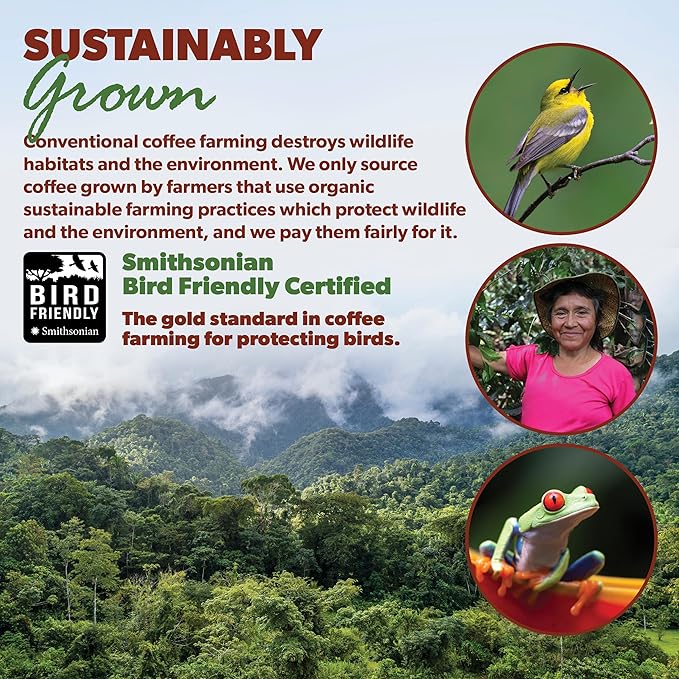 Low Acid Organic Coffee – Whole Bean, Mold-Free & Stomach Friendly by Java Planet, Guatemalan Single Origin Coffee, Medium Roast, Smooth Full Flavored, Smithsonian Bird Friendly, 1LB Bag